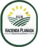 H & M hacienda Planada banano ecuatoriano