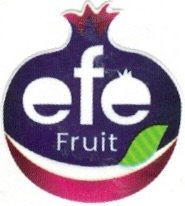 EFE Fruit