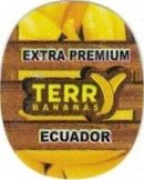 Terry bananas extra premium ecuador