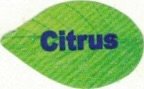 citrus