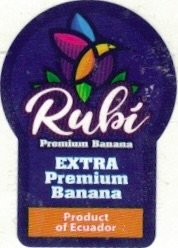 Rubi premium banana extra premium banana productos of ecuador