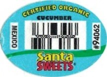 Santa Sweets certified organic cucumber mexico #94062