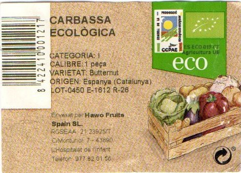 carbassa ecologica ccpae butternut espanya(catalunya)