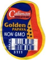 Caliman papaya ats its best golden papaya non gmo brazil 3111