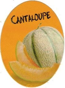 cantaloupe