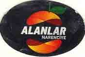 alanlar narenciye