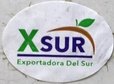 x sur exportadora del sur