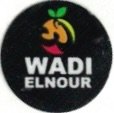 Wadi alnour