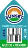 Sunset greenhousegrown.ca adl 4689 mexico mexique