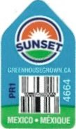 Sunset greenhousegrown.ca pr1 4664 mexico mexique