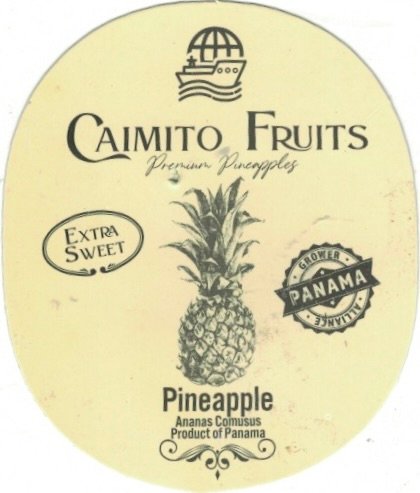 Caimito fruits premium pineapple product of panama