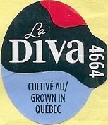 La diva 4664 cultive au quebec