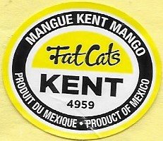 Fat cats mangue kent mango 4959 produit du mexique