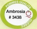 Pommes qualite quebec ambrosia #3438