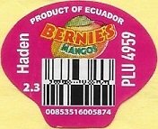bernie s mangos product of ecuador haden plu 4959 2.3 00853516005874