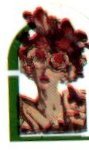 sansnom (femme)