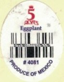 5 Reyes eggplant #4081 produce of mexico