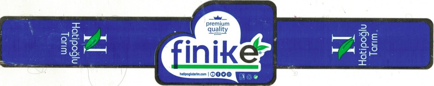 Finike premium quality hatipoglu tarim