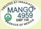 treated by irridiation mango 4959 emp 150 produce of mexico