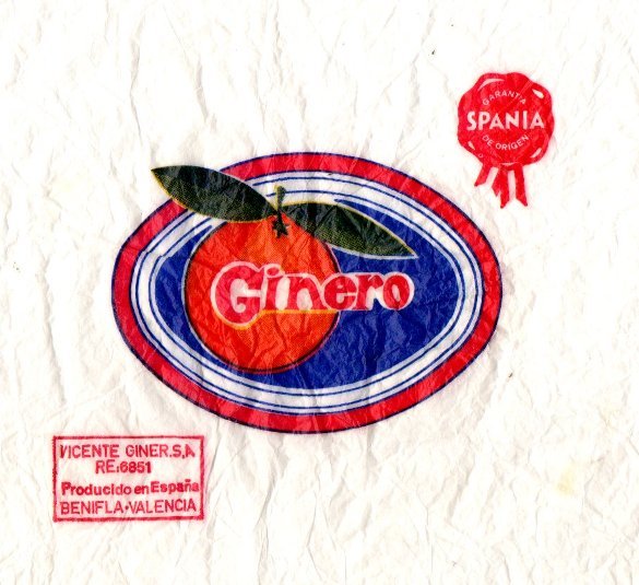 ginero viviente giner benifla valencia spania
