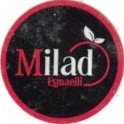 Milad esmaeili