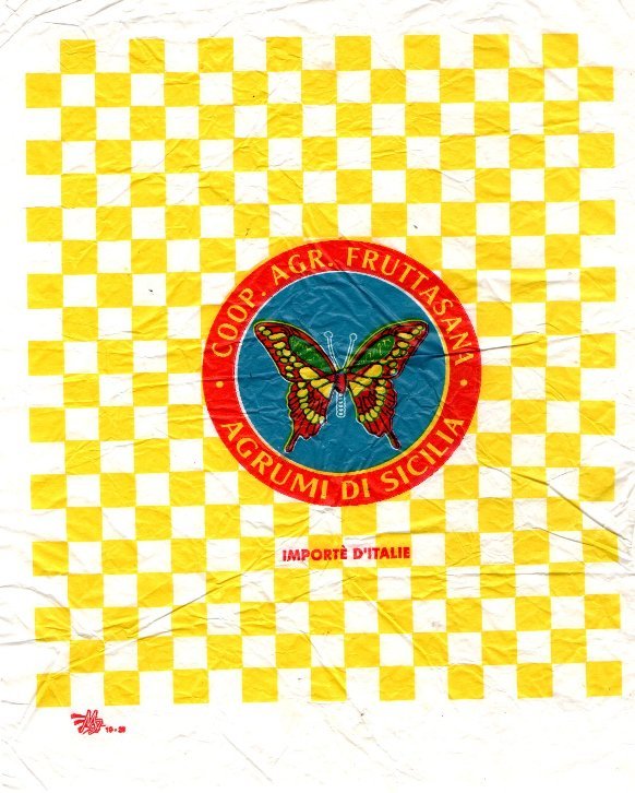 Coop. agr. fruttasana agrumi di sicilia importe d italie