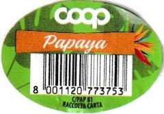 coop papaya 8001120773753 cpap 81 raccolta carta