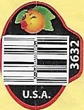 3632 usa