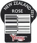 Yummy new zealand rose 4122