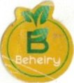 B Beheiry