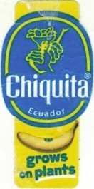 Chiquita ecuador grows on plants