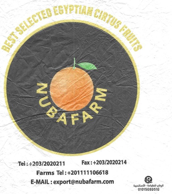 nubafarm best selected egyptian cirtus fruits export@nubafarm.com