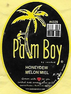 Palm boy #4329 honeydew melon miel mexique