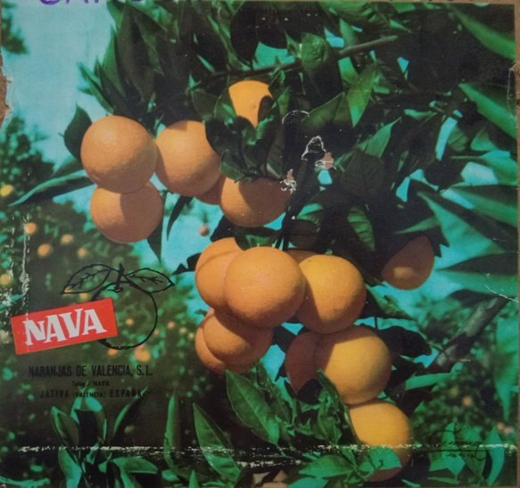 nava naranjas de valrencia jativa valencia espana