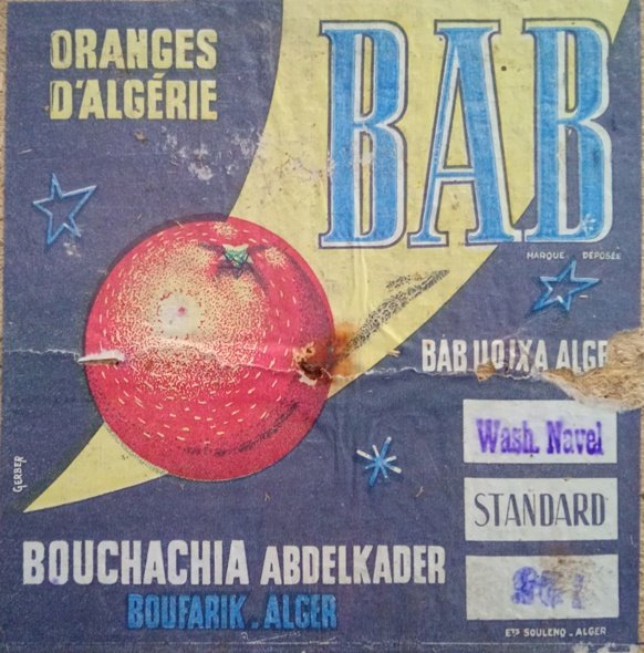 bab oranges d algerie bouchachia abdelkader boufarik alger