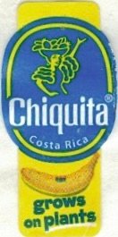 Chiquita costa rica grows on plants