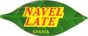 navel late spania