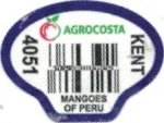 Agrocosta 4051 kent mangoes of peru