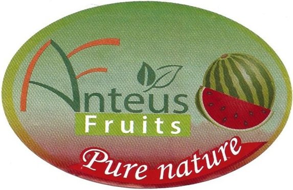 Anteus fruits pure nature