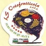ls ortofrutticola s.r.l.s. servizi di qualita 100% italiano