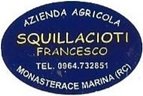 Squillacioti francesco azienda agricola tel. 0964.732851 monasterace marina (rc)