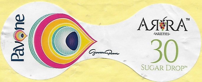 Pavone arra varieties 30 sugar drop