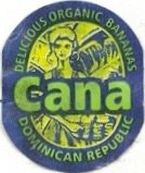 Cana delicious organic bananas domincan republic