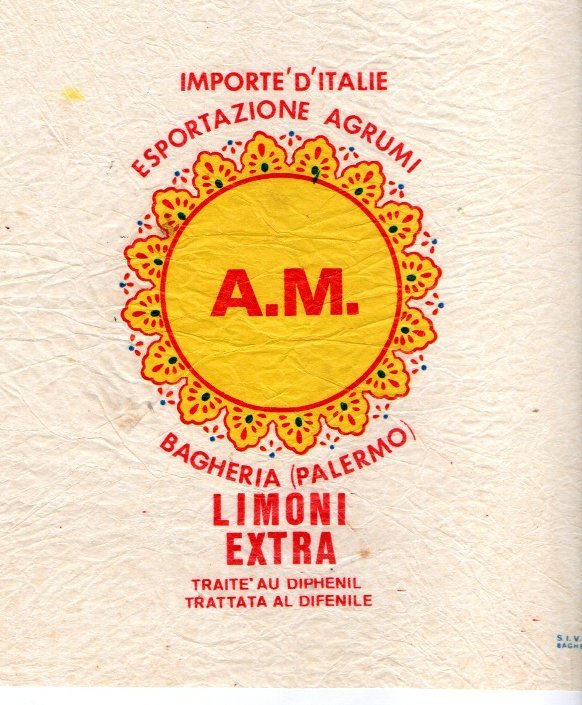 A.m. esportazione agrumi bagheria palermo limoni extra importe d italie