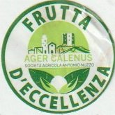 ager calenus societa agricola antonio nuzzo frutta d eccellenza