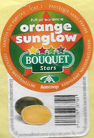 Bouquet star orange sunglow anecoop 8412276287191