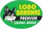 Lobo bananas premium chiapas mexico
