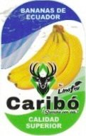 Caribo bananas de ecuador by: lina fru siempre con vos calida superior