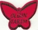 Olgun tarim