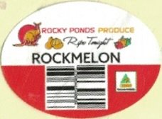 Rocky Ponds Produce ripe tonight rockmelon